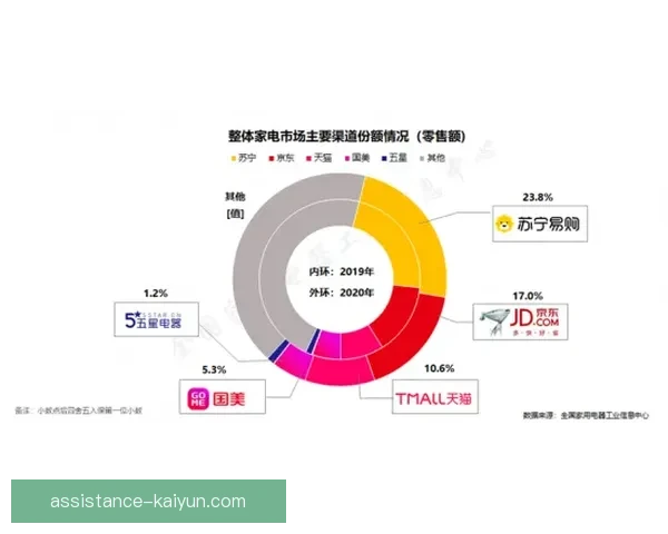 卢顿俱乐部发展历程与未来战略探索全景分析